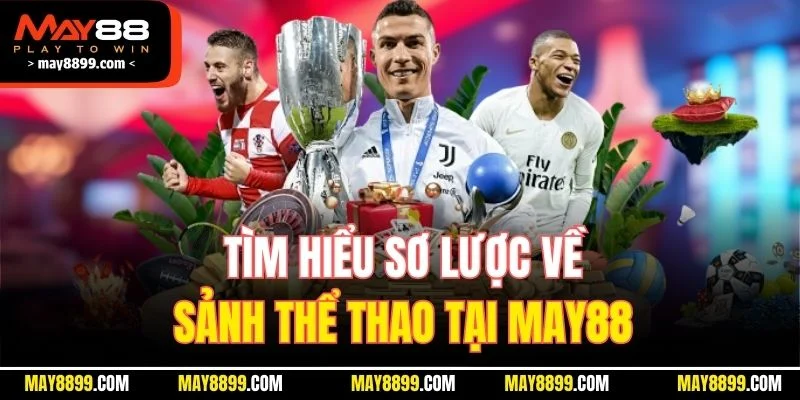 Tìm hiểu sơ lược về sảnh thể thao tại MAY88